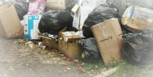 заказать контейнер для вывоза мусора в Лобне